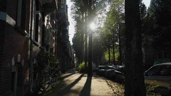 Amsterdam_Attorneys_row_674