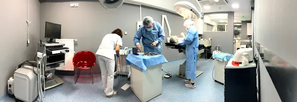 Amsterdam_Dentists_row_239