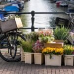 16-Amsterdam-daily-life–candid–