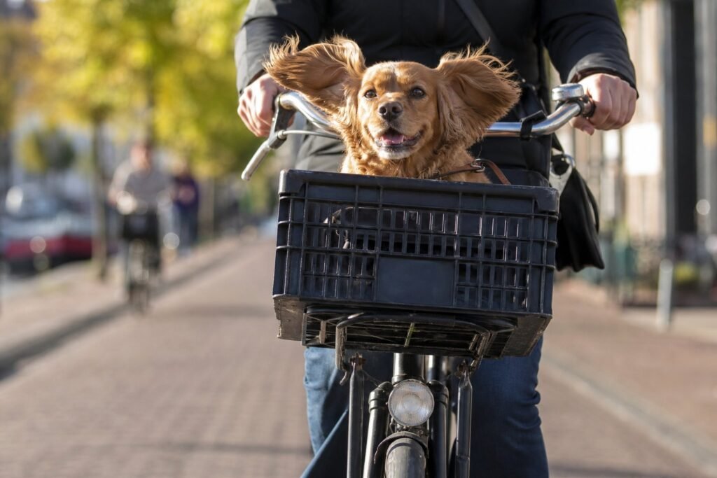 18-Amsterdam-daily-life–candid–