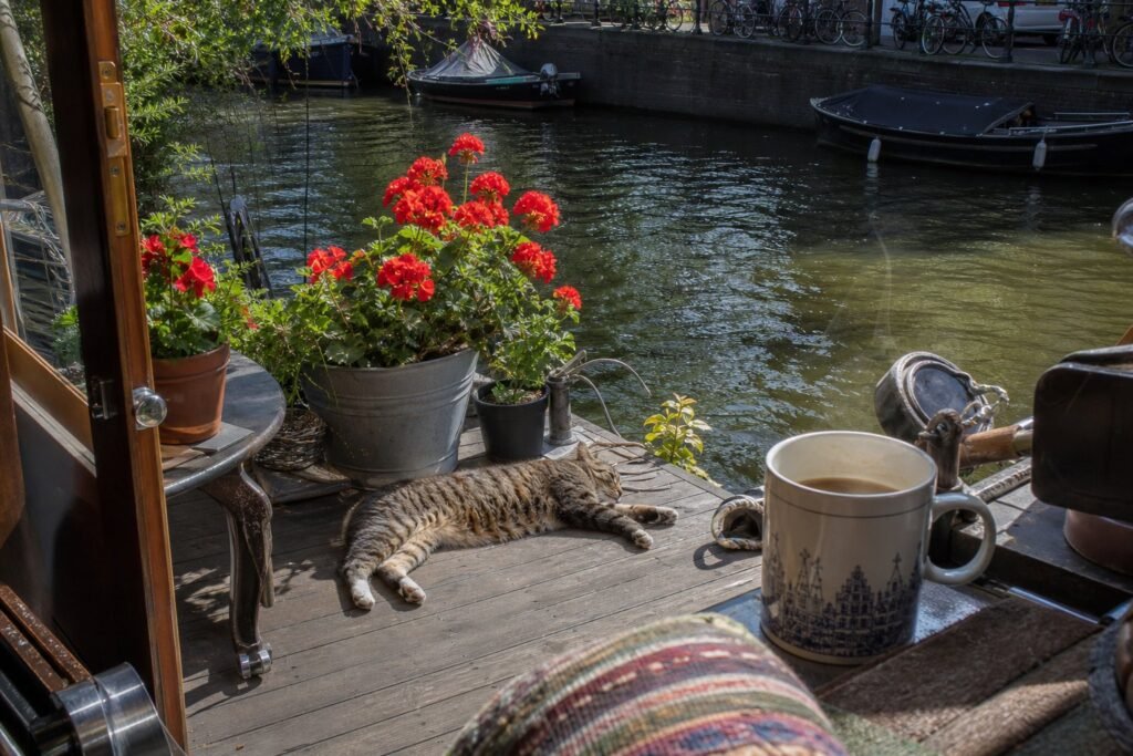 2-Amsterdam-houseboat-life–cand