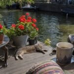 2-Amsterdam-houseboat-life–cand