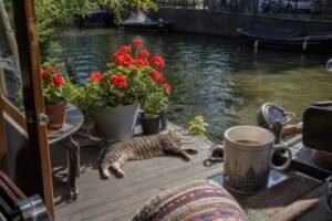 2-Amsterdam-houseboat-life–cand