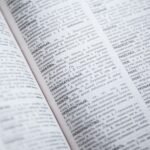 Amsterdam Dutch Language Guide For Visitors And Expats