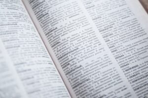 Amsterdam Dutch Language Guide For Visitors And Expats