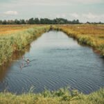 The Dutch Polder Model: A Practical Guide For Expats