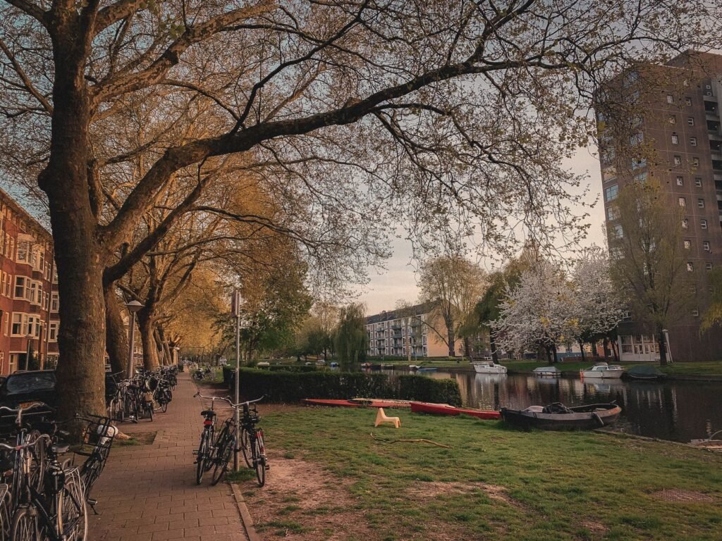 Quiet Places In Amsterdam Away From Tourists: Local Escapes