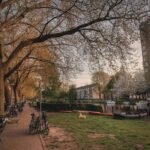 Quiet Places In Amsterdam Away From Tourists: Local Escapes