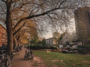 Quiet Places In Amsterdam Away From Tourists: Local Escapes