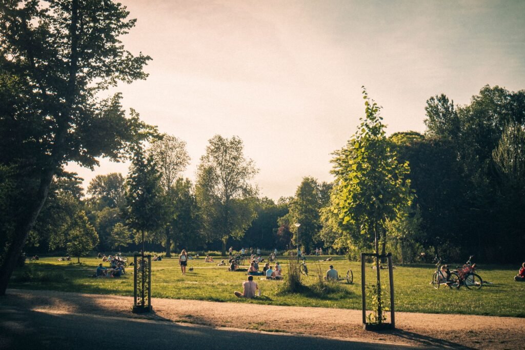 Amsterdam Parks Guide For Every Type Of Visit