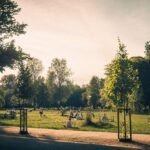 Amsterdam Parks Guide For Every Type Of Visit