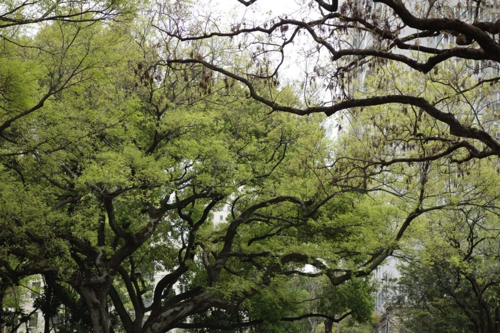5 Must-See Parks And Gardens In And Around Amsterdam