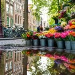 38-Amsterdam-after-rain–candid–