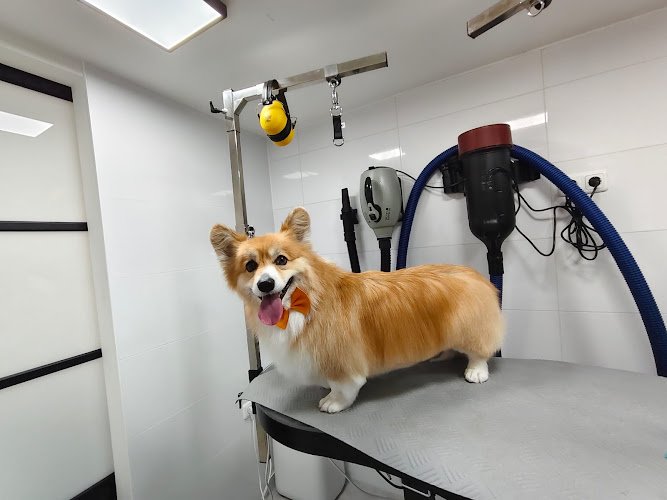 Amy’s Salon