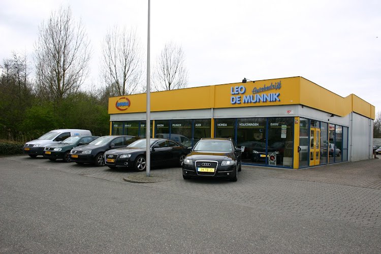 Bosch Car Service – Leo De Munnik