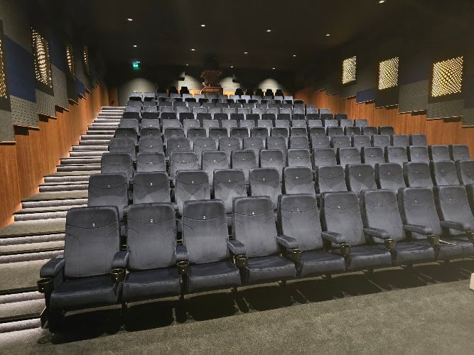 Cinema The Pulse