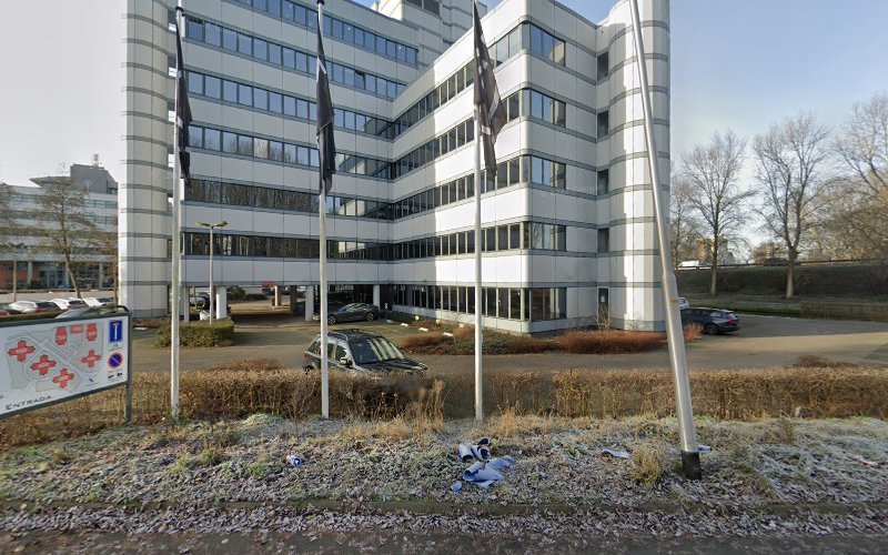 Cordes Organisatie Advies & Ontwikkeling