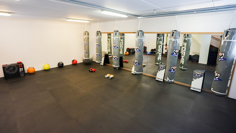 CreativeFit