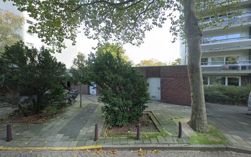 De Rijn Automaterialen