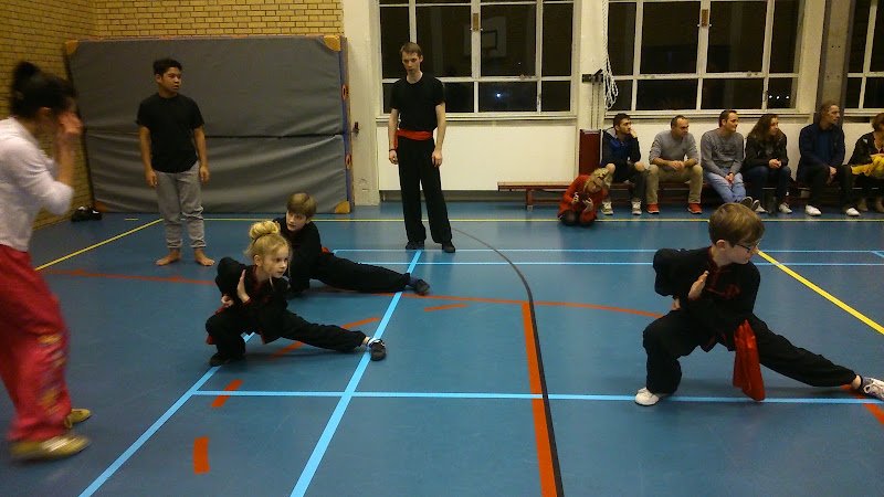 Dragon & Lotus Kung Fu School