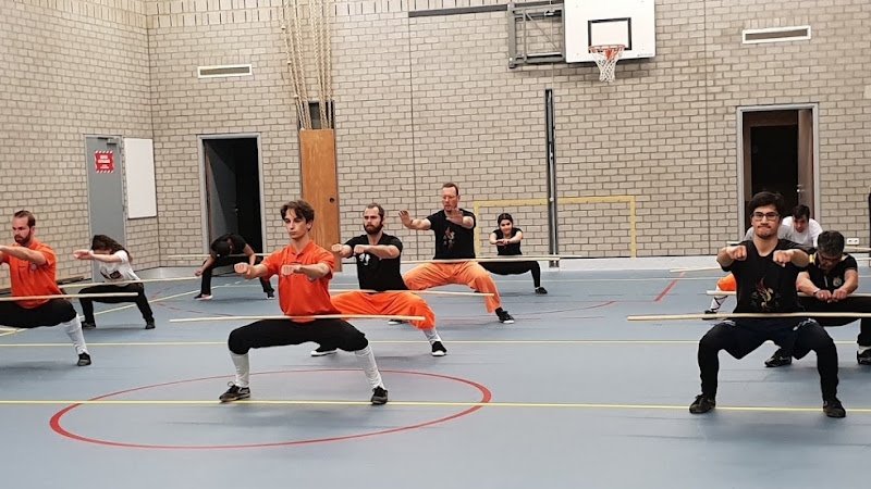 Fenghuang Martial Arts – Almere