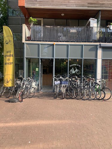 Fietsenwinkel de Duif; Bikeshop De Duif: Bike-rental