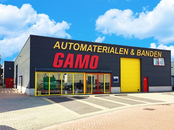 Gamo Heemskerk