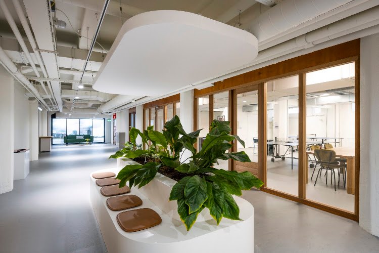 HNK Amsterdam Houthavens