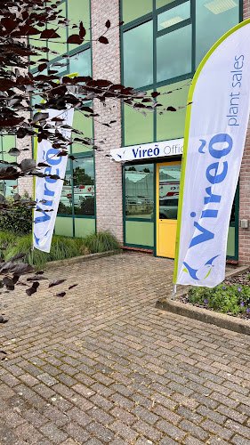 Hedera Plant BV