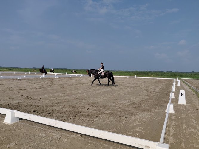 Hippische Sportvereniging Heiloo en omstreken