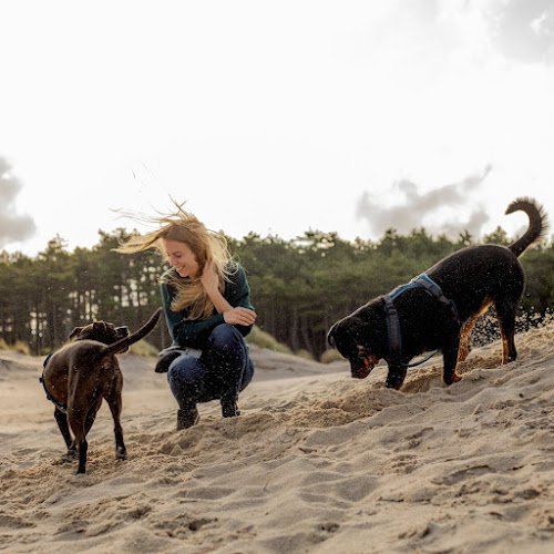 Hond en Emoties