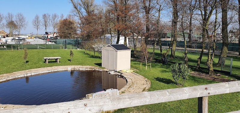 Hondengedragscentrum Special Dogs Care & Coaching Nieuw-vennep
