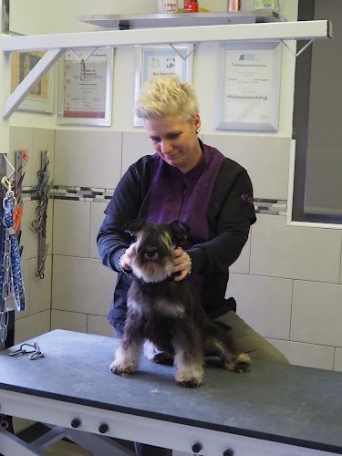 Hondentrimsalon Dogs Fashion