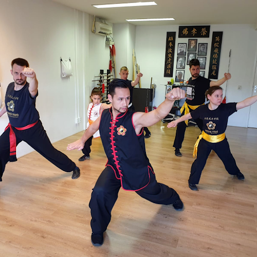 Hong Ying Martial Arts Academy The Hague