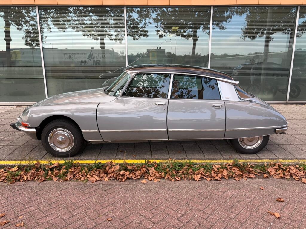 Auto Renaissance