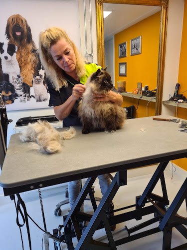 Liesbeth’s Trimsalon