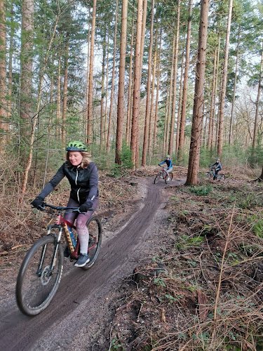 MTB-Rental.com