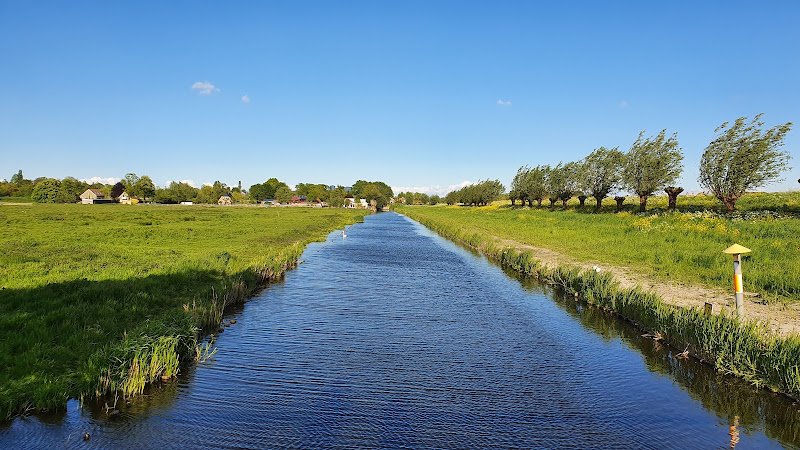 Middelpolder