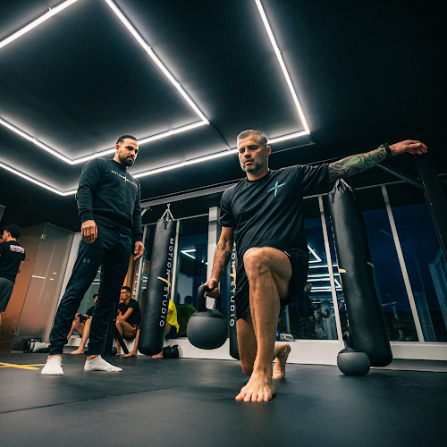 Motion Studio