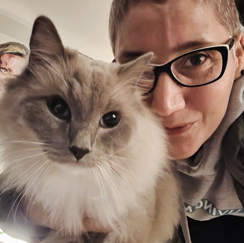 MultiCATsking Cat-sitting Amsterdam | Kattenoppas Amsterdam Oost
