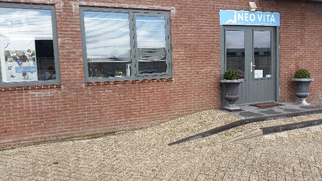 Neo Vita