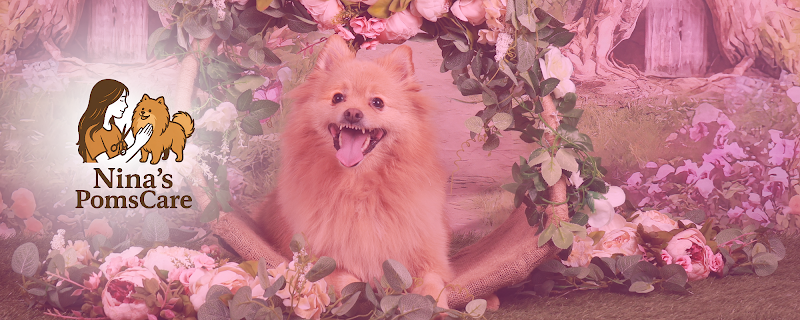 Nina’s Poms Care
