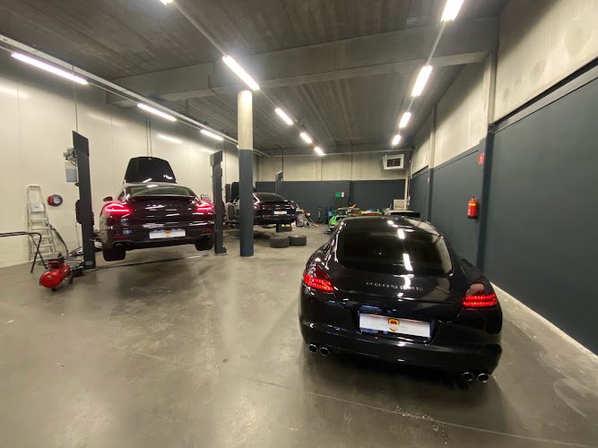 Noordvingh gespecialiseerd in Porsche