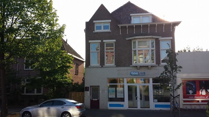 OneLine business intelligence