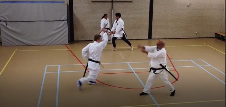 Open Dojo Haarlemmermeer