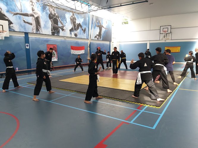 Perguruan Pencak Silat Asembagus