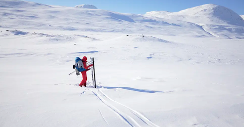 Polar Exped