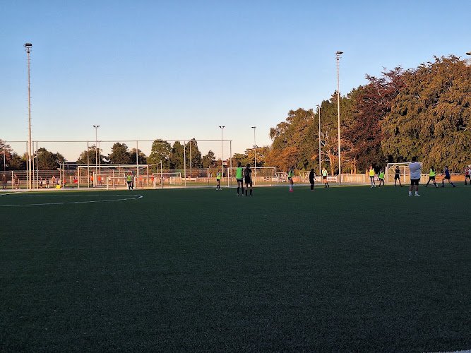 SDO Bussum