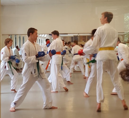 Santpoortse Sportvereniging Dschen Dui
