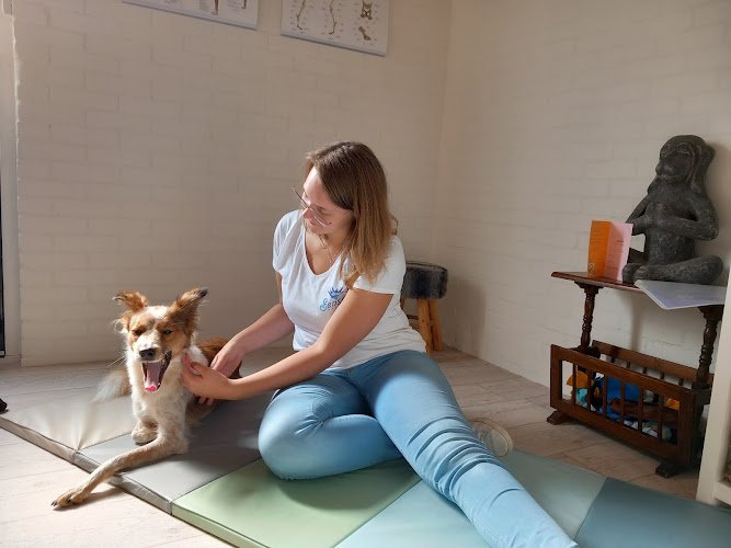 Sense-i Massage voor honden